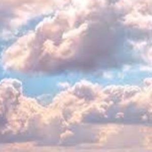 Meet your Posher, Audrey